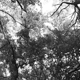 GRAU/T LITTLE PAINTINGS MUSIC VIDEO